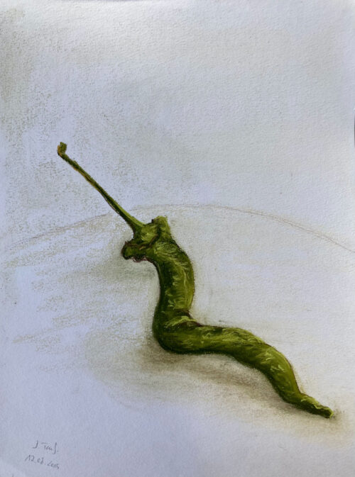 A chilli, pastel on paper, 20x30 cm, 2015
