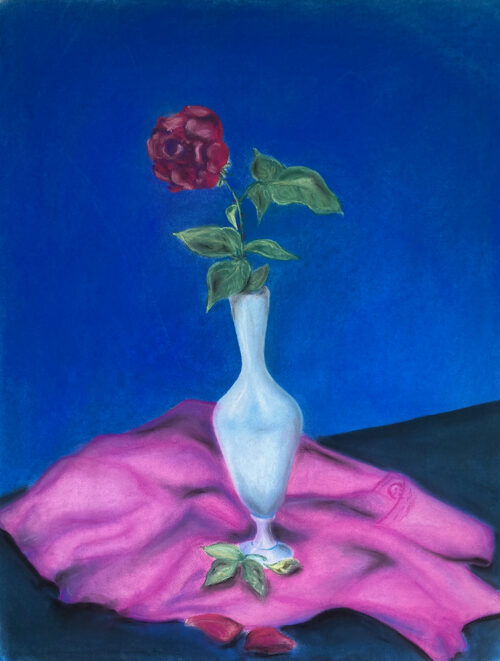 A rose is a rose, is a rose, is a rose, pastel on pastelpaper, 50x60 cm, 1995