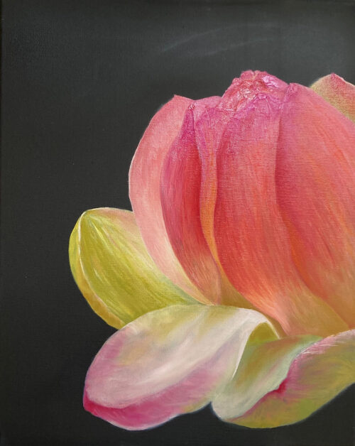 Lotus flower, oil on canvas, 40x50, 2021