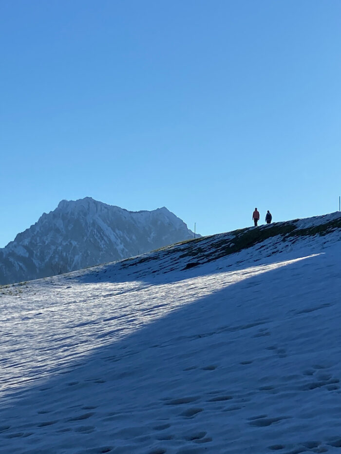 On the Gmundnerberg in winter (1)