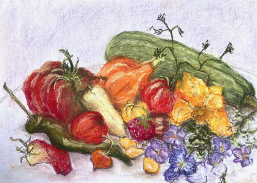 Vegetables and flowers from my garden, pastel on paper, 20x30 cm, 2015