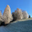 Winter am Gmundnerberg (1)