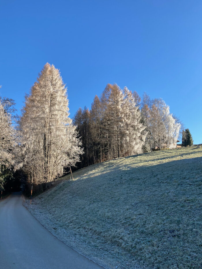 Winter am Gmundnerberg (1)